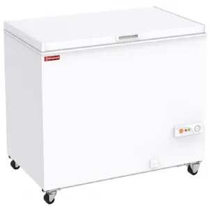 Conglateur coffre porte pleine 300 Litres DIAMOND SCO31-C3_PROMO